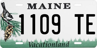 ME license plate 1109TE