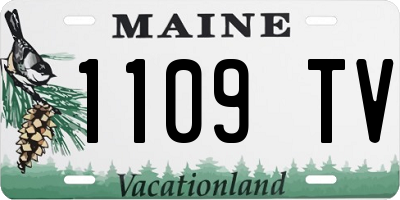 ME license plate 1109TV
