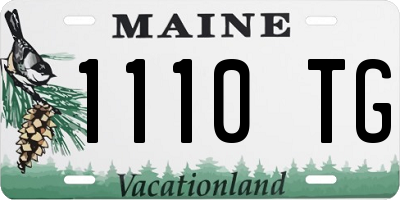 ME license plate 1110TG