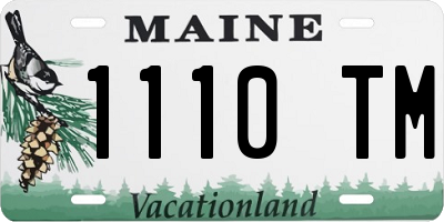 ME license plate 1110TM