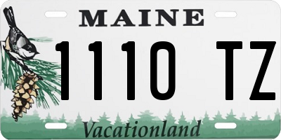 ME license plate 1110TZ