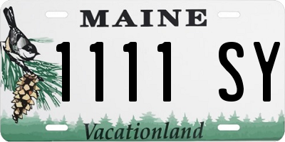 ME license plate 1111SY