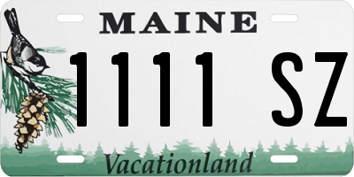 ME license plate 1111SZ