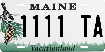 ME license plate 1111TA