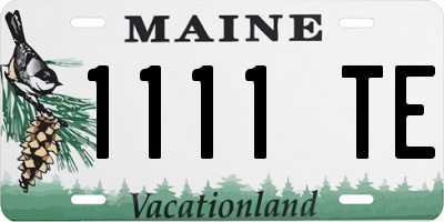 ME license plate 1111TE