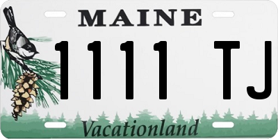 ME license plate 1111TJ