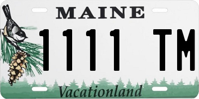 ME license plate 1111TM