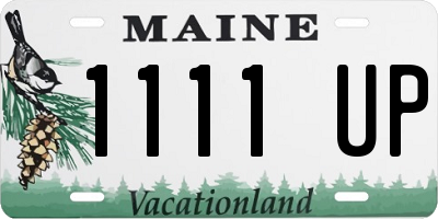 ME license plate 1111UP
