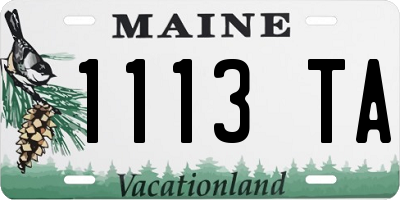ME license plate 1113TA
