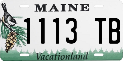 ME license plate 1113TB
