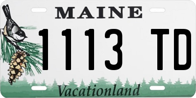 ME license plate 1113TD