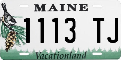 ME license plate 1113TJ