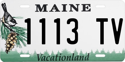 ME license plate 1113TV