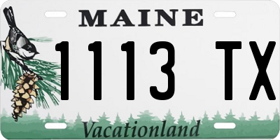 ME license plate 1113TX