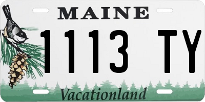 ME license plate 1113TY