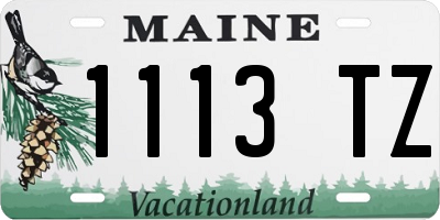 ME license plate 1113TZ