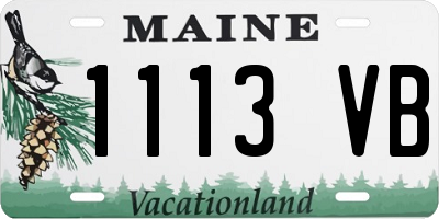 ME license plate 1113VB