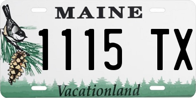 ME license plate 1115TX