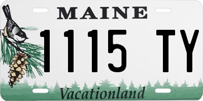 ME license plate 1115TY