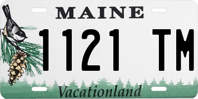 ME license plate 1121TM