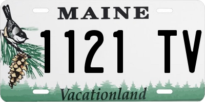 ME license plate 1121TV