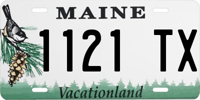 ME license plate 1121TX