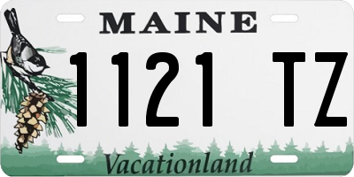 ME license plate 1121TZ