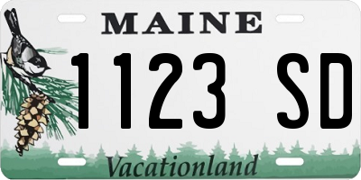 ME license plate 1123SD