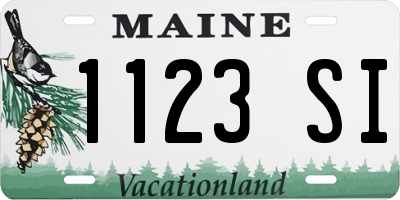 ME license plate 1123SI