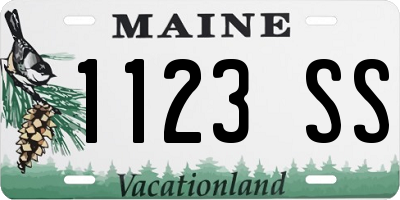 ME license plate 1123SS