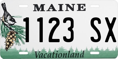 ME license plate 1123SX