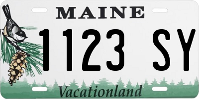 ME license plate 1123SY