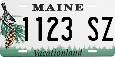 ME license plate 1123SZ