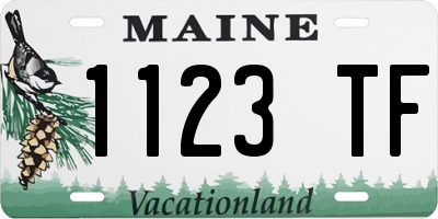 ME license plate 1123TF