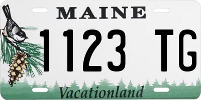 ME license plate 1123TG