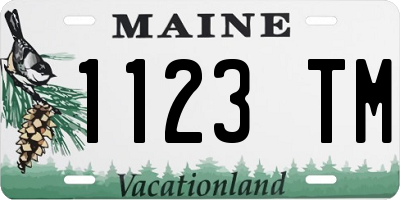 ME license plate 1123TM