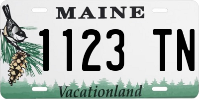ME license plate 1123TN