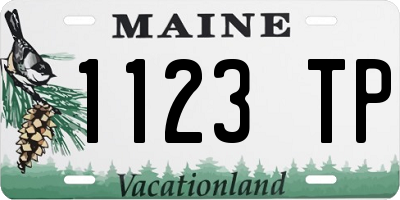 ME license plate 1123TP