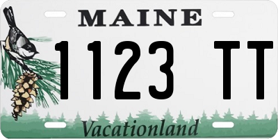 ME license plate 1123TT