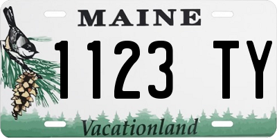 ME license plate 1123TY