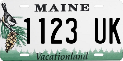 ME license plate 1123UK