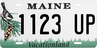 ME license plate 1123UP