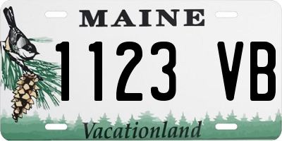 ME license plate 1123VB
