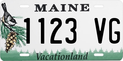 ME license plate 1123VG