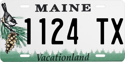 ME license plate 1124TX