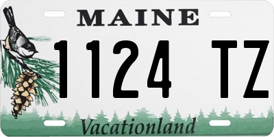 ME license plate 1124TZ