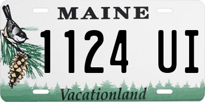 ME license plate 1124UI