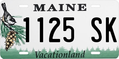 ME license plate 1125SK