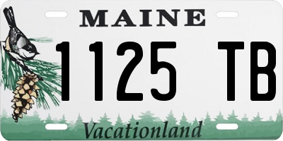 ME license plate 1125TB
