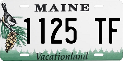 ME license plate 1125TF